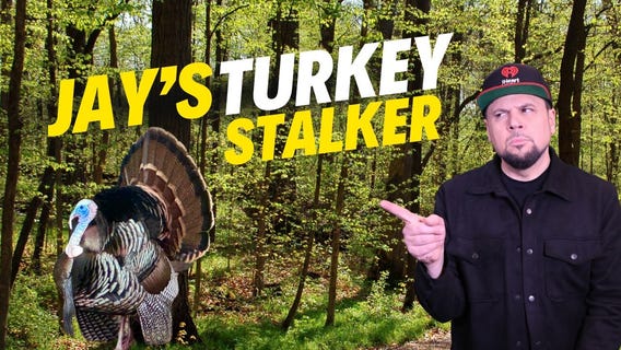 Gobble-Gobble & the No-Show Lights