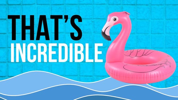 That's Incredible: Pool Float Obsessions & Snakes Across the Border