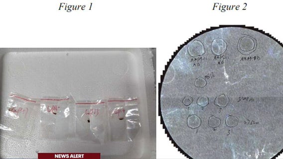 Chinese Nationals charged with smuggling dangerous pathogen at Metro Airport