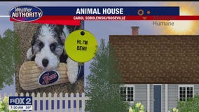 Welcome Beni, Kobe, Khloe, Star