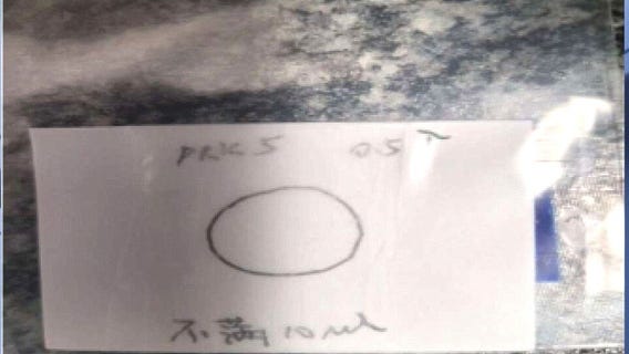 Another Chinese science researcher charged with smuggling bio materials at DTW