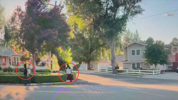 Tesla records Woodland Hills home burglary