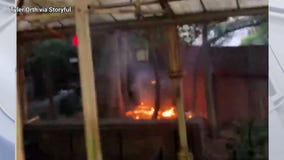 Tree on fire near Harry Potter ride at Universal