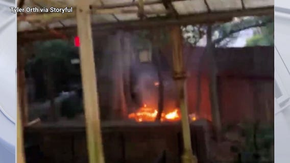 Tree on fire near Harry Potter ride at Universal