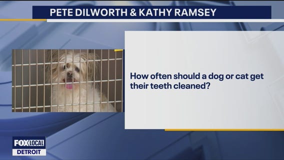 June Vet Check with Dr. Marcy McKeithen