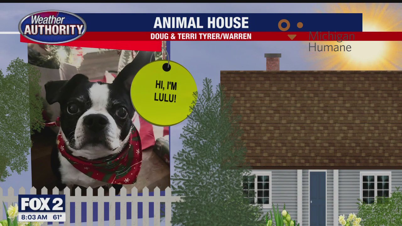 Welcome Mac, Ella, Charlie, Lulu