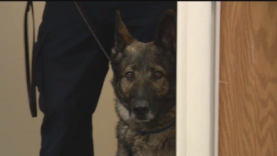 K9 training to help protect the Corewell Health System