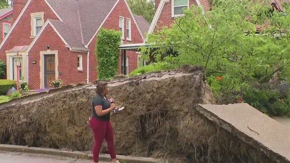 Storms uproot tree at Detroit home