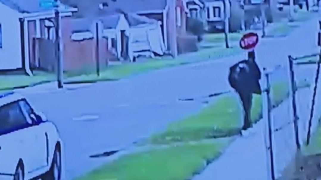 Man to stand trial for murder of Detroit neurosurgeon