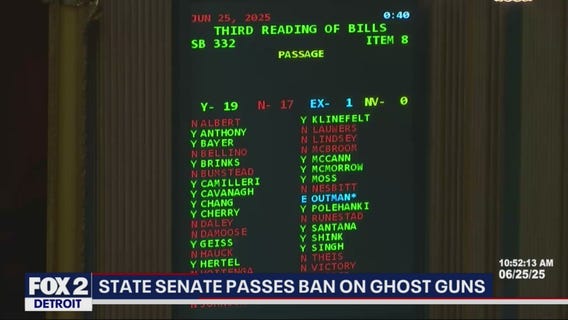 Michigan State Senate passes gun safety bill package, which heads to House