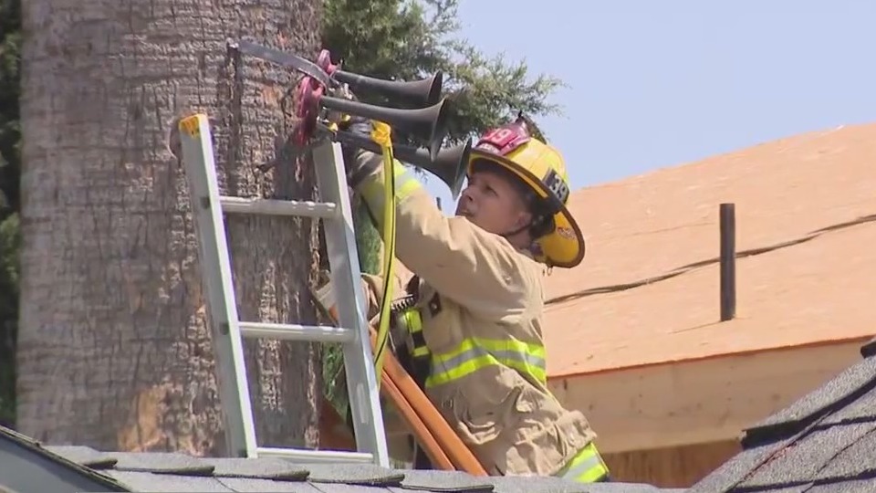 Van Nuys man arrested after months of horn blaring