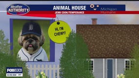 Welcome Chewy, Elenore, Max