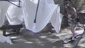 Search for suspect who stole gallery canopy tent in Pontiac