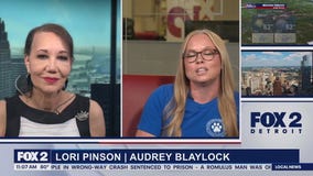 Fireworks & Animals part 1