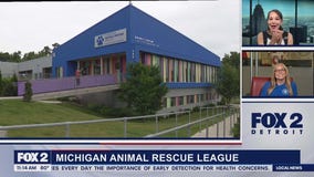 Fireworks & Animals part 2