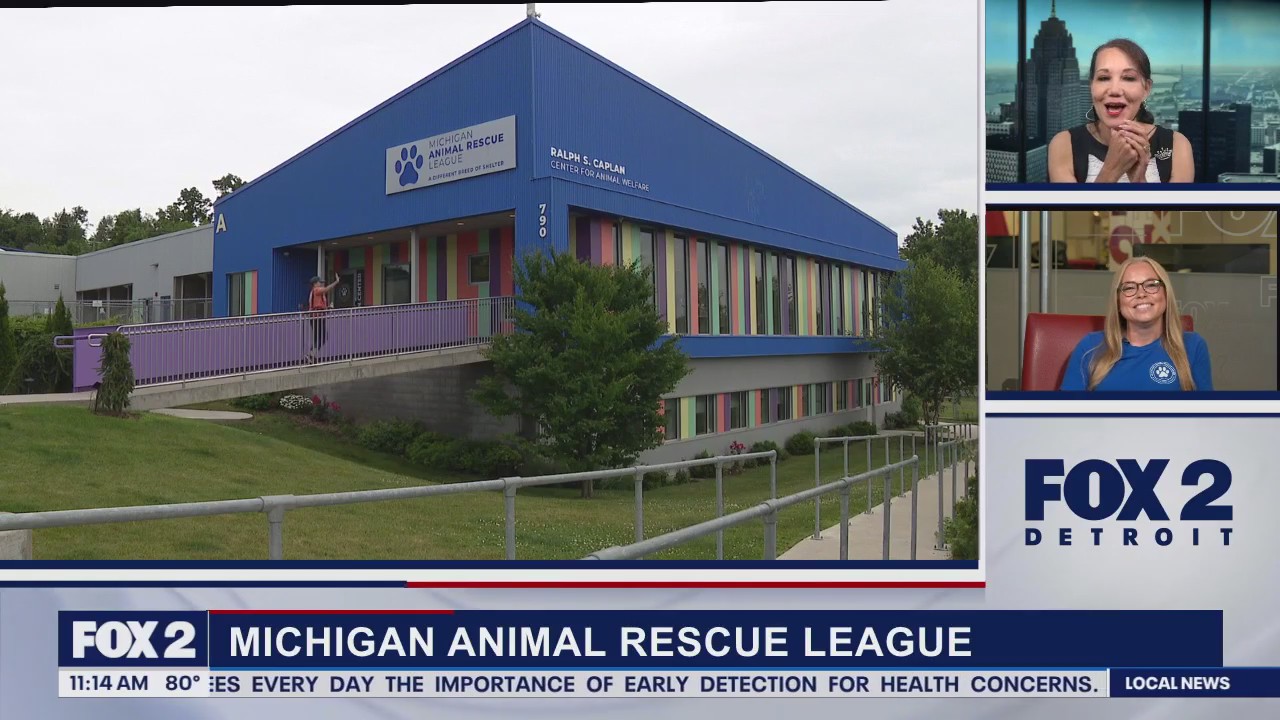 Fireworks & Animals part 2