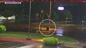 Hit and Run victim speaks out as police search for driver