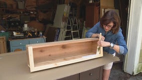Jill of All Trades finishes her flower boxes