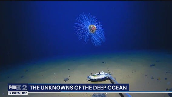 The unknowns of the deep ocean