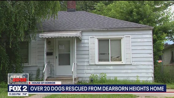 News EDGE: 20+ dogs removed from Dearborn Heights house, Clawson fireworks, arrest made in Ford Fireworks investigation and more