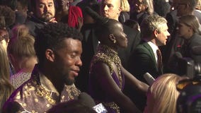 Black Panther movie premiere in Hollywood