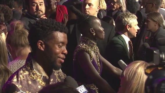 Black Panther movie premiere in Hollywood
