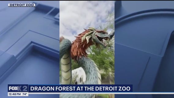 Dragons at the Detroit Zoo