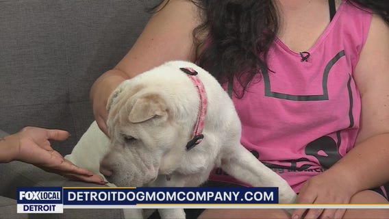 Detroit Dog Mom Company Grand Opening July 13th