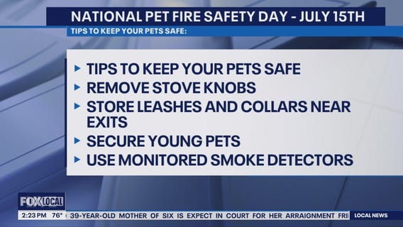 Pet Fire Safety Tips From Premier Pet Supply