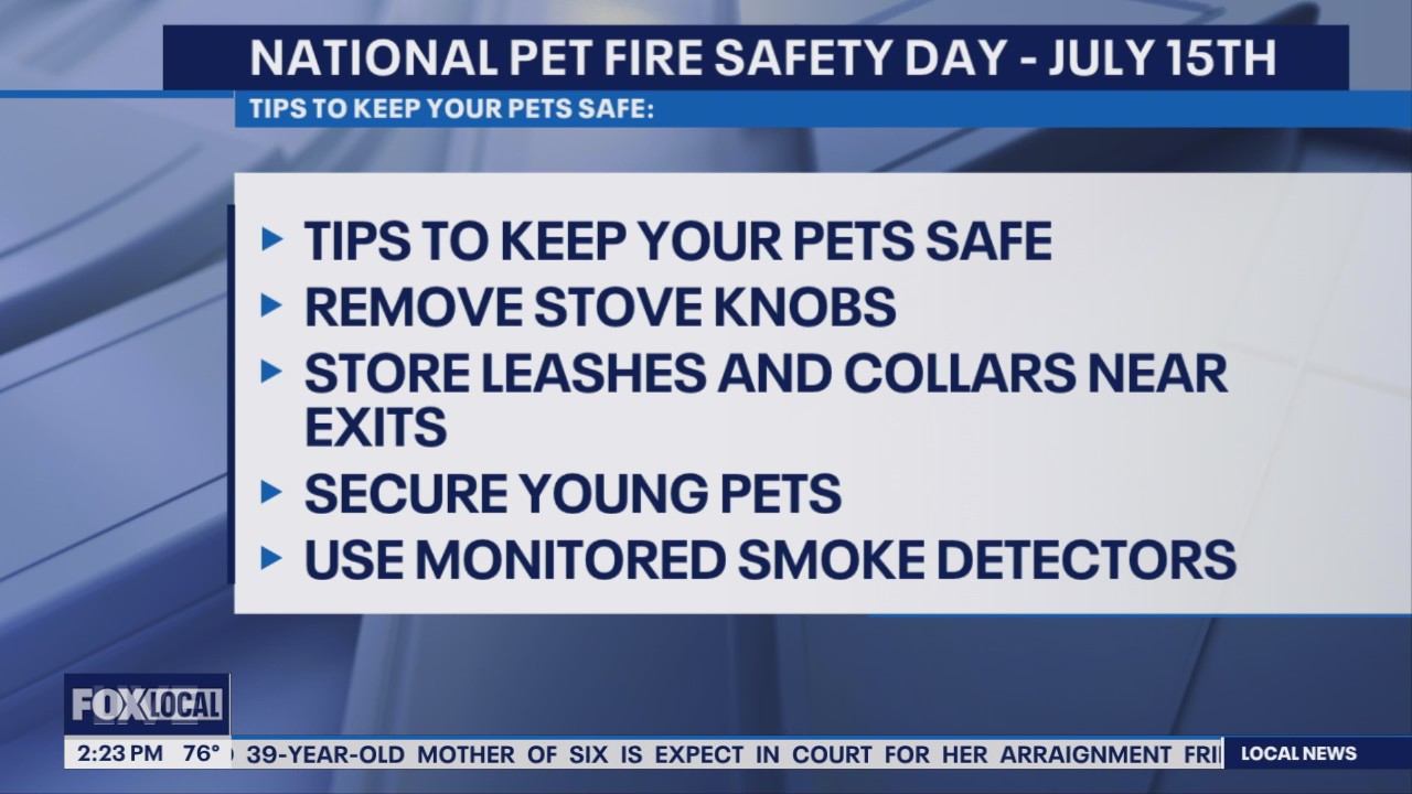 Pet Fire Safety Tips From Premier Pet Supply