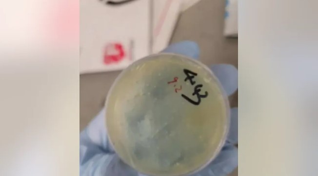 University of Michigan under federal probe due to biological material smuggling cases