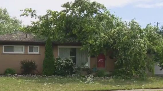 Storms leave behind heavy damage in Metro Detroit