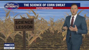 An absolutely perfect Summer day today