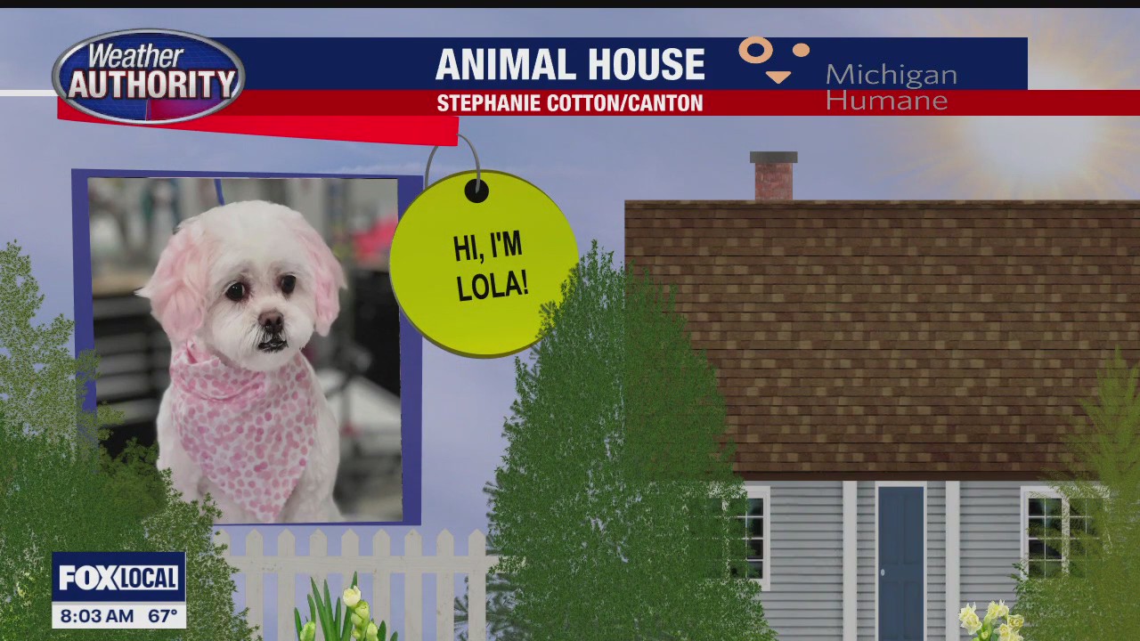 Welcome Lola, Blue, Vinnie