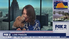 Lori's Stories Dog Friendly Places part 1