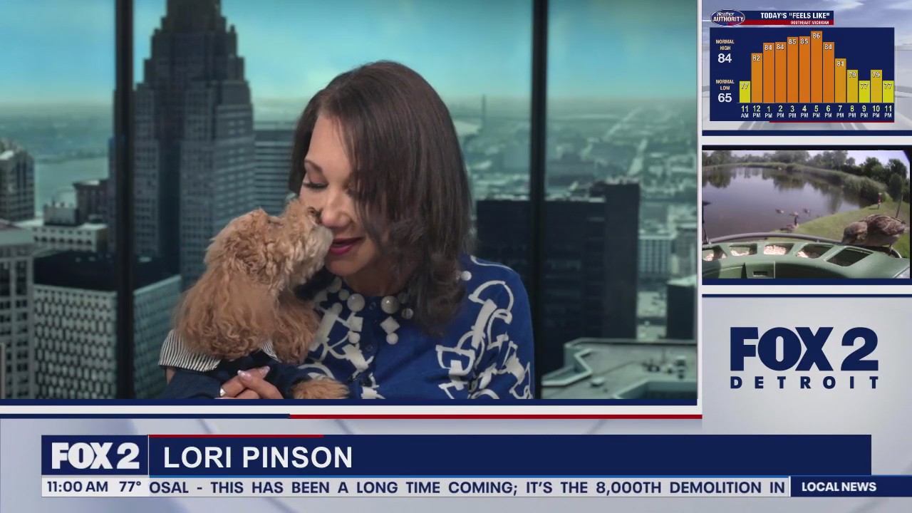 Lori's Stories Dog Friendly Places part 1