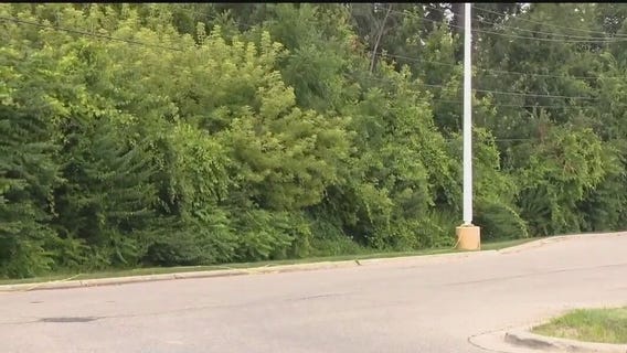 Suspect sought in teen's shooting death