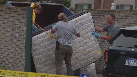 Woman found dead in Shelby Township, new MSP K-9 Unit, shots fired at Guardian Building and more