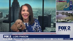 Lori's Stories Dog Friendly Places part 2