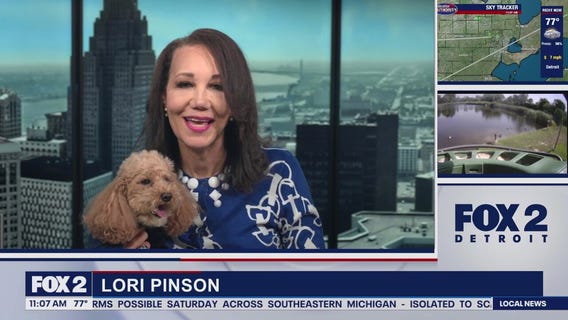 Lori's Stories Dog Friendly Places part 2