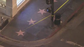 Suspicious case not a threat on Hollywood Walk of Fame