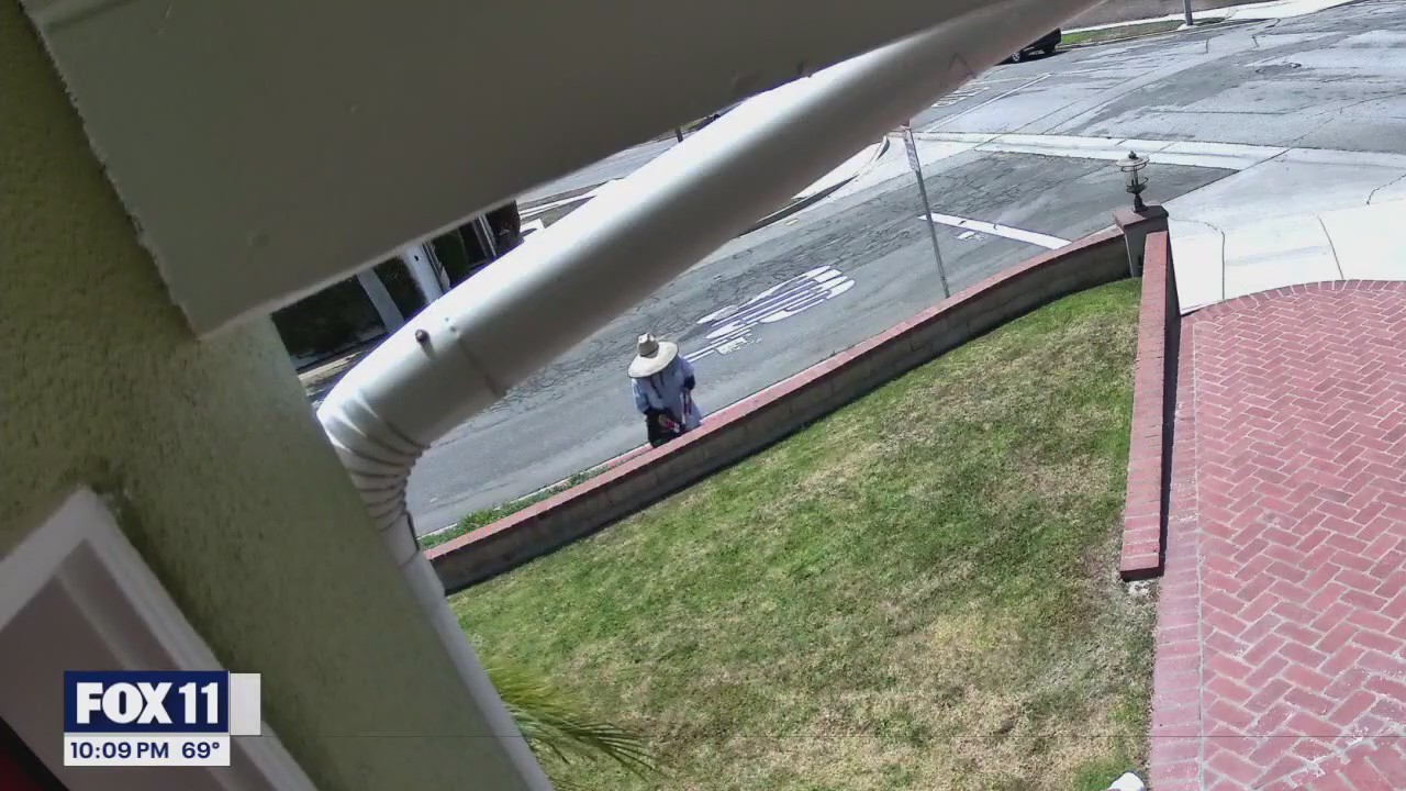 Mail carrier accused of pepper spraying letters