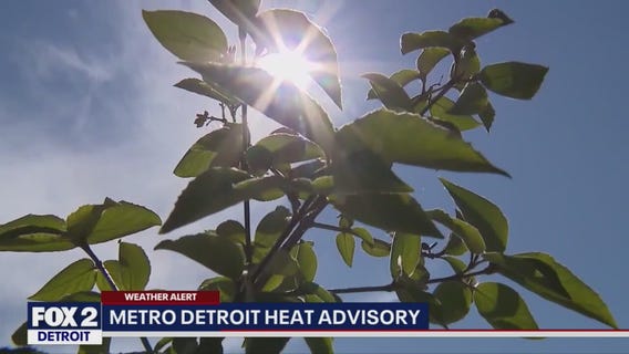 Metro Detroit slammed in heat wave