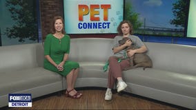 Michigan Humane seeking home for puppy named Tyson