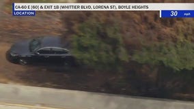 Pursuit suspect goes rouge