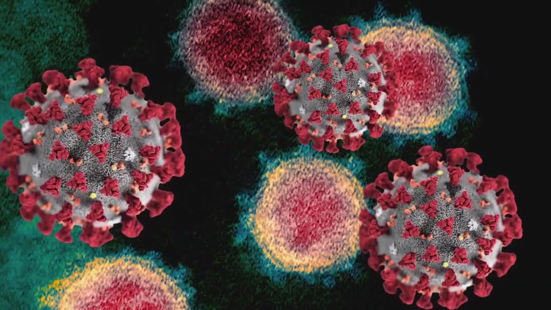 New COVID variant causing surge in California | FOX 11 Los Angeles