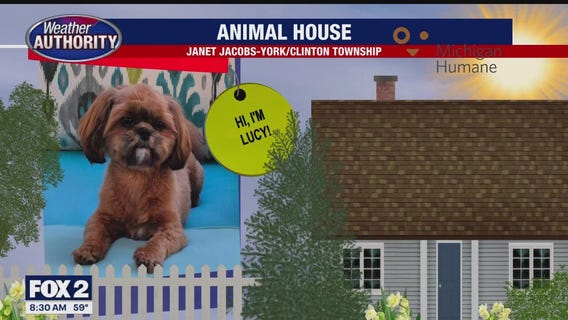 Welcome Miss Lucy Lou, Cody, Radar