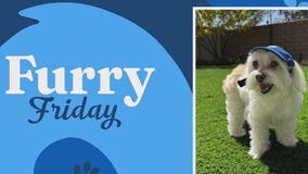 Furry Friday: Aug. 29, 2025