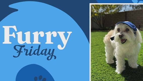 Furry Friday: Aug. 29, 2025