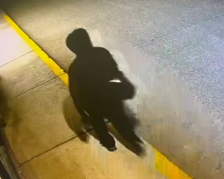 Suspect runs from comic book store after robbery